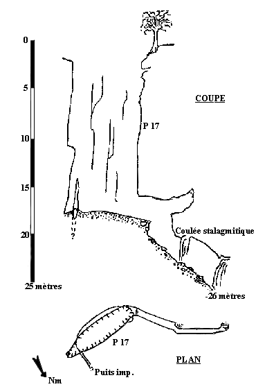 cerf.gif (7035 octets)