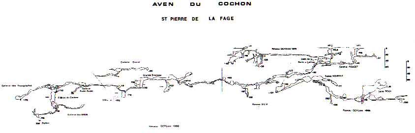 cochon-coupe.jpg (21549 octets)